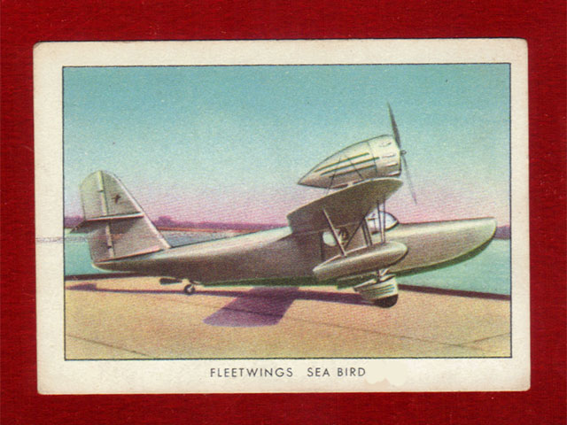 Fleetwings Seabird Airplane